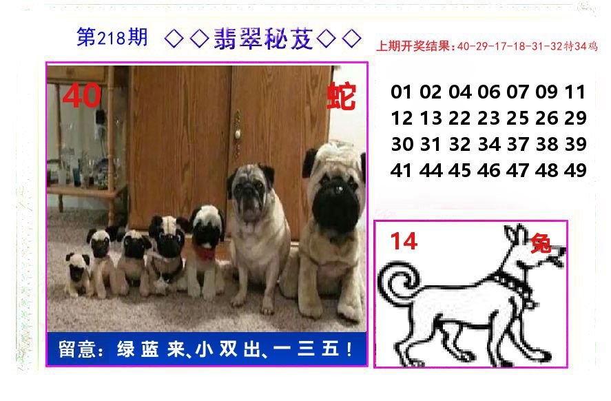 翡翠秘芨 第218期