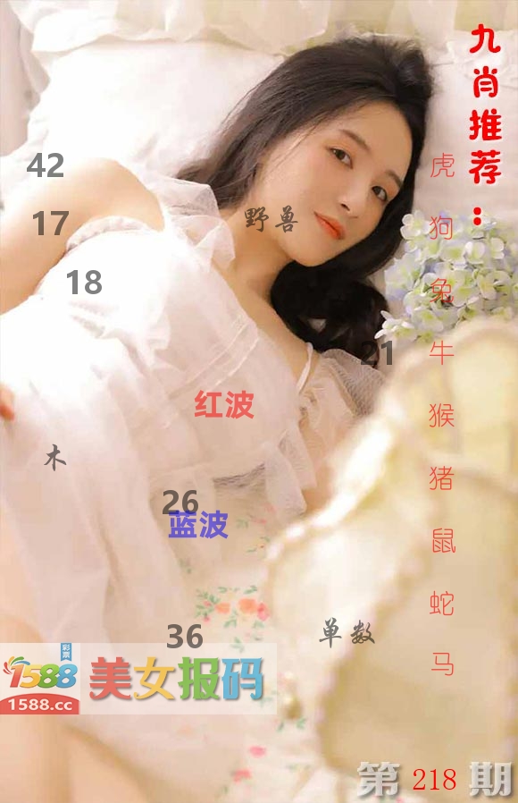 美女报码 第218期