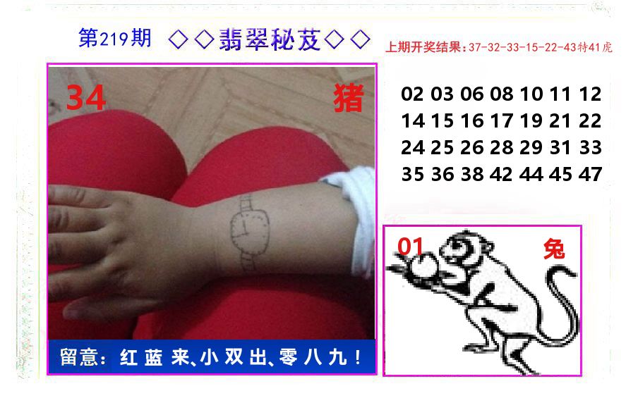 翡翠秘芨 第219期