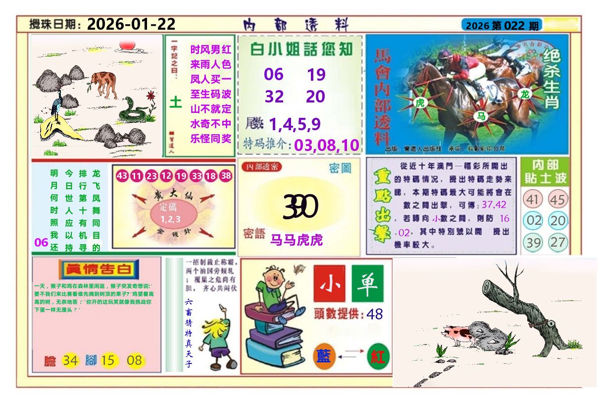 澳门内部透料A 第22期