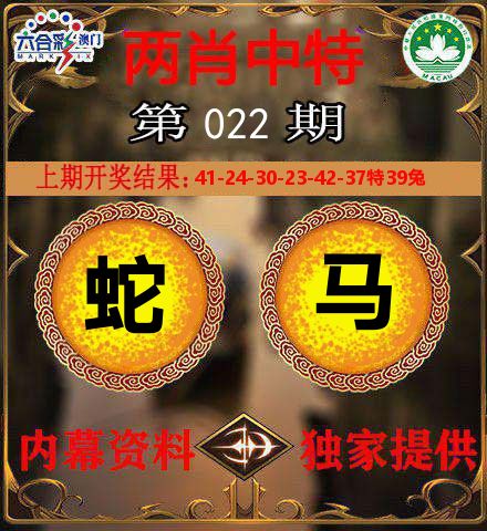 两肖中特 第22期