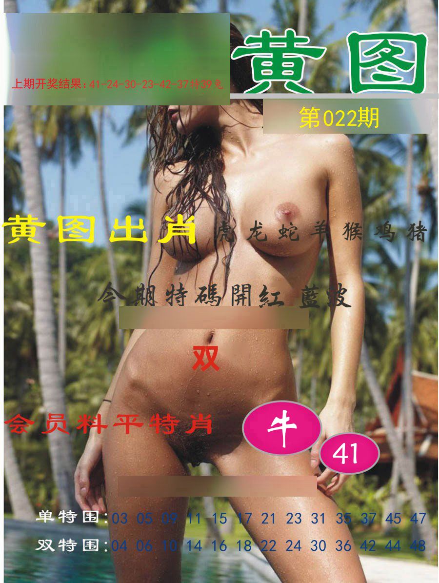 黄图出肖 第22期