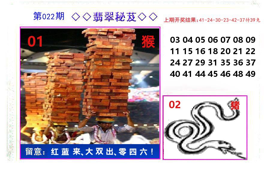 翡翠秘芨 第22期