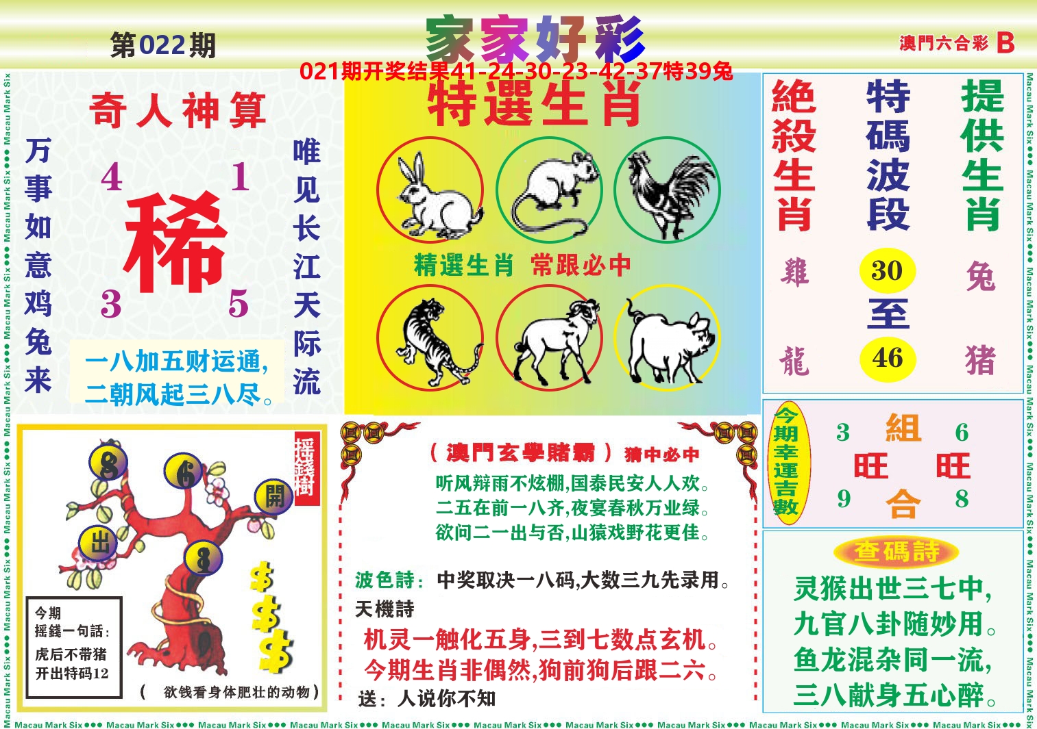 家家好彩B 第22期