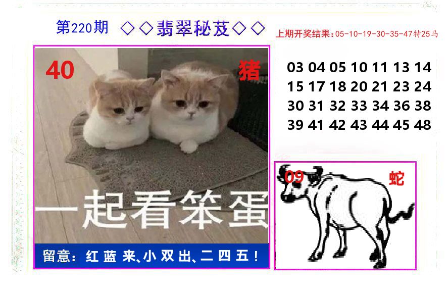 翡翠秘芨 第220期