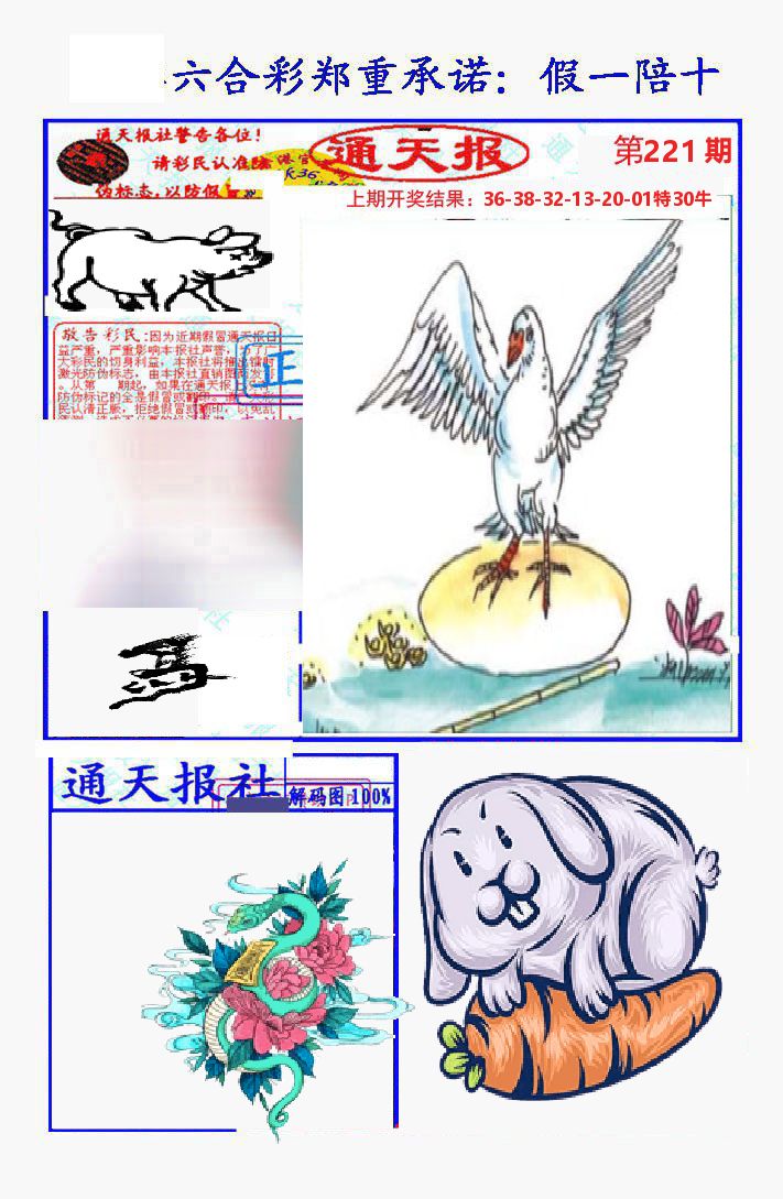 通天报 第221期