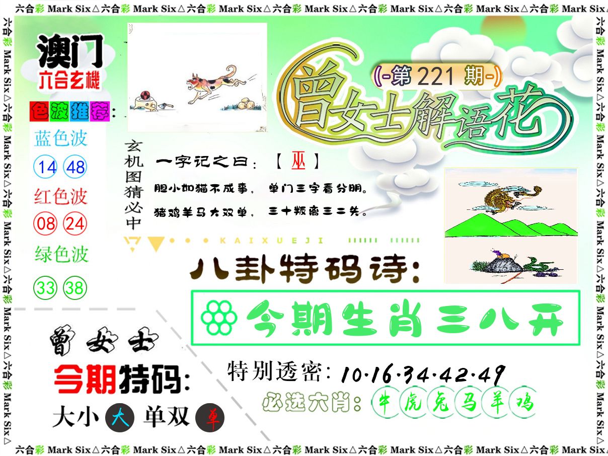 曾女士解语花 第221期