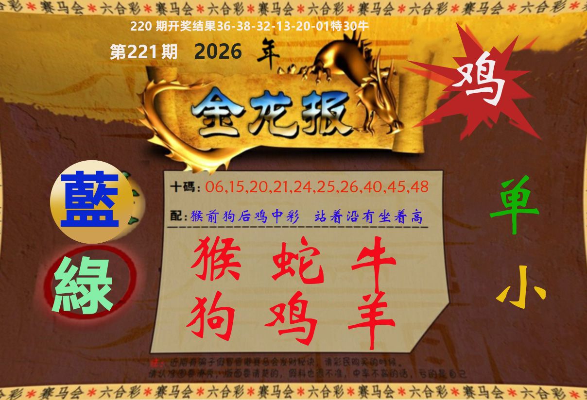 金龙报 第221期