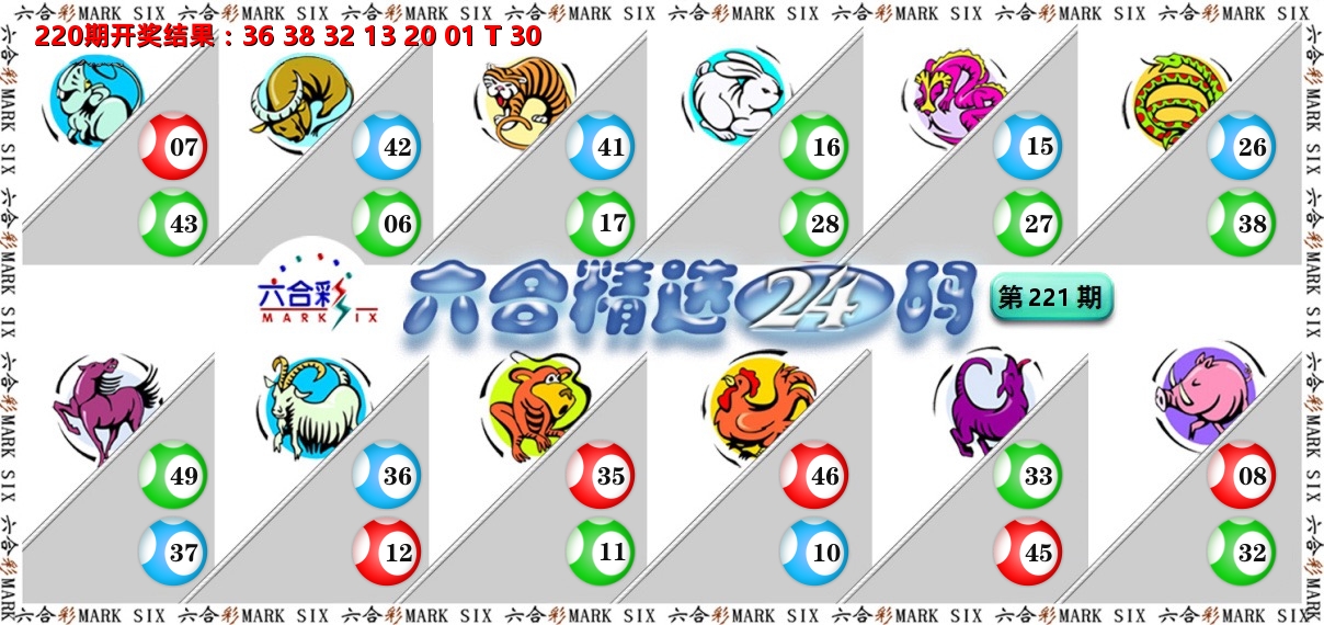 六合精选24码 第221期