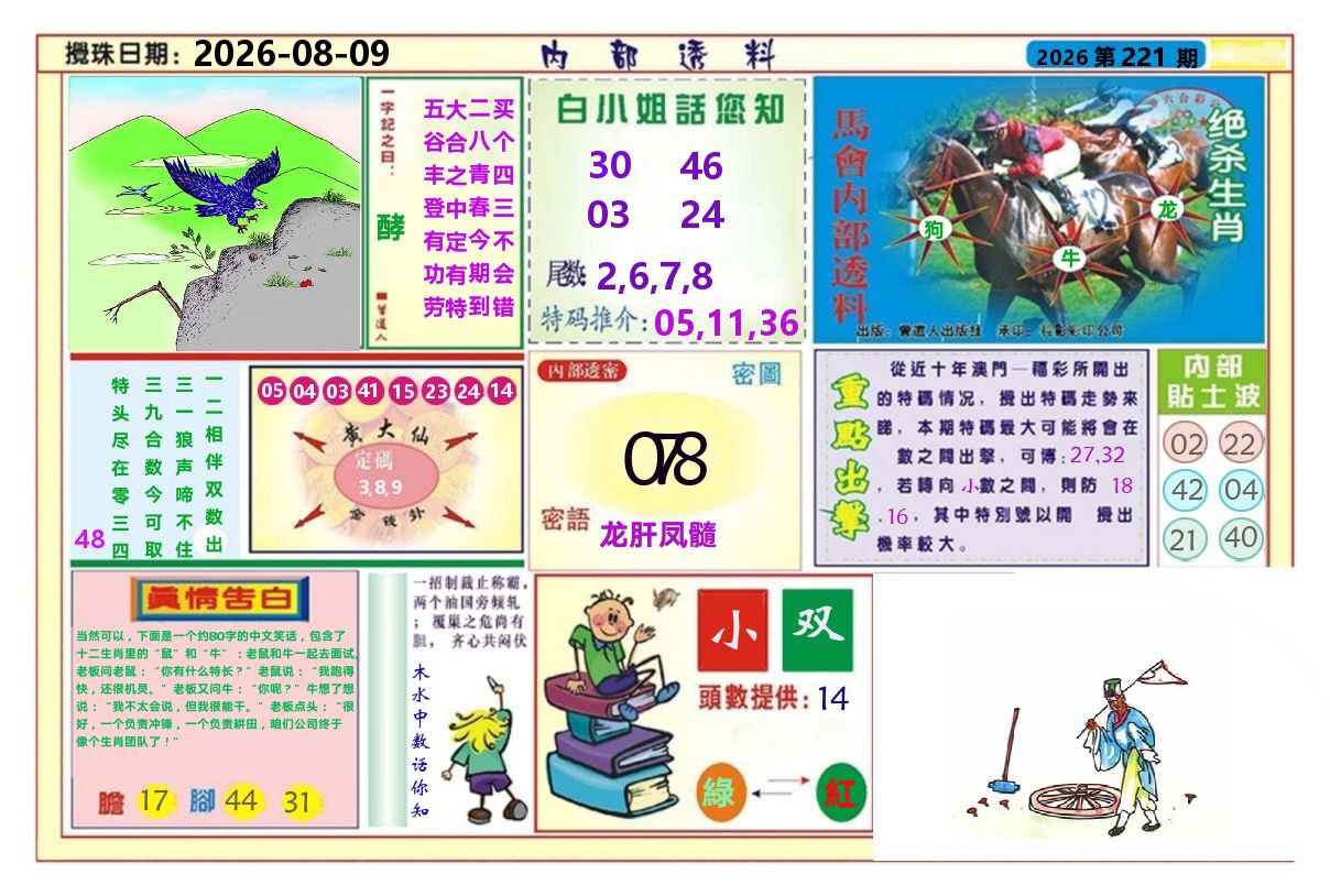 澳门内部透料A 第221期