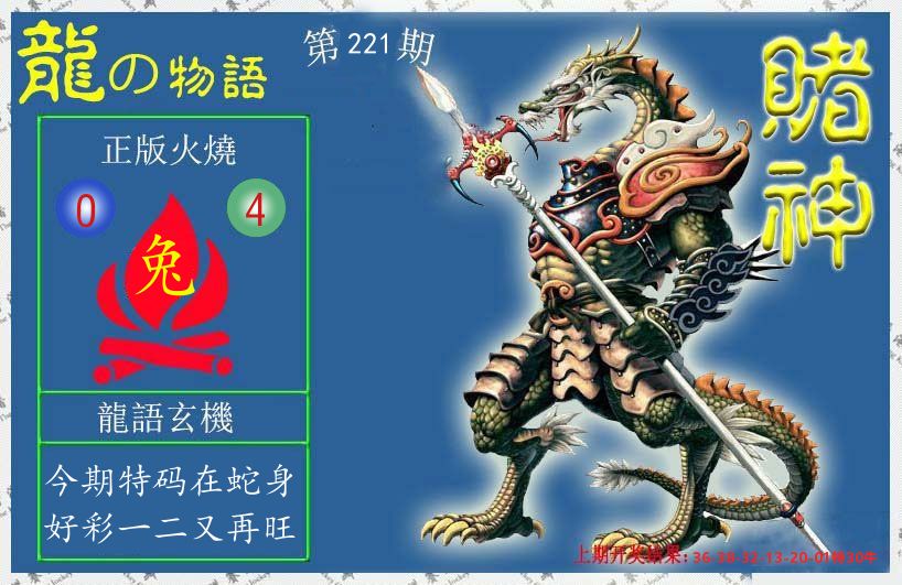 赌神龙报 第221期