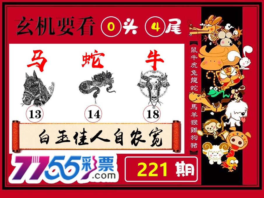 玄机要看 第221期
