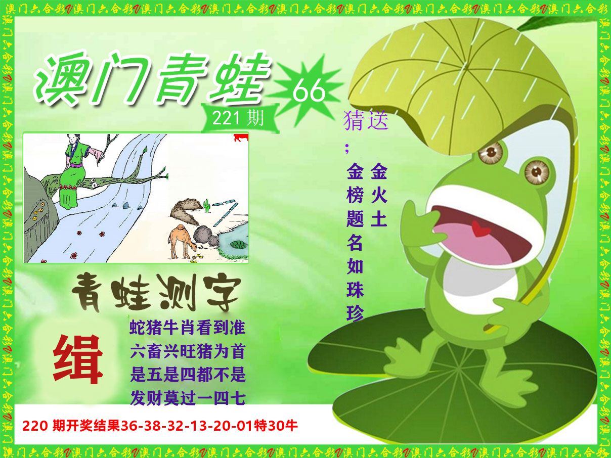 青蛙系列66 第221期