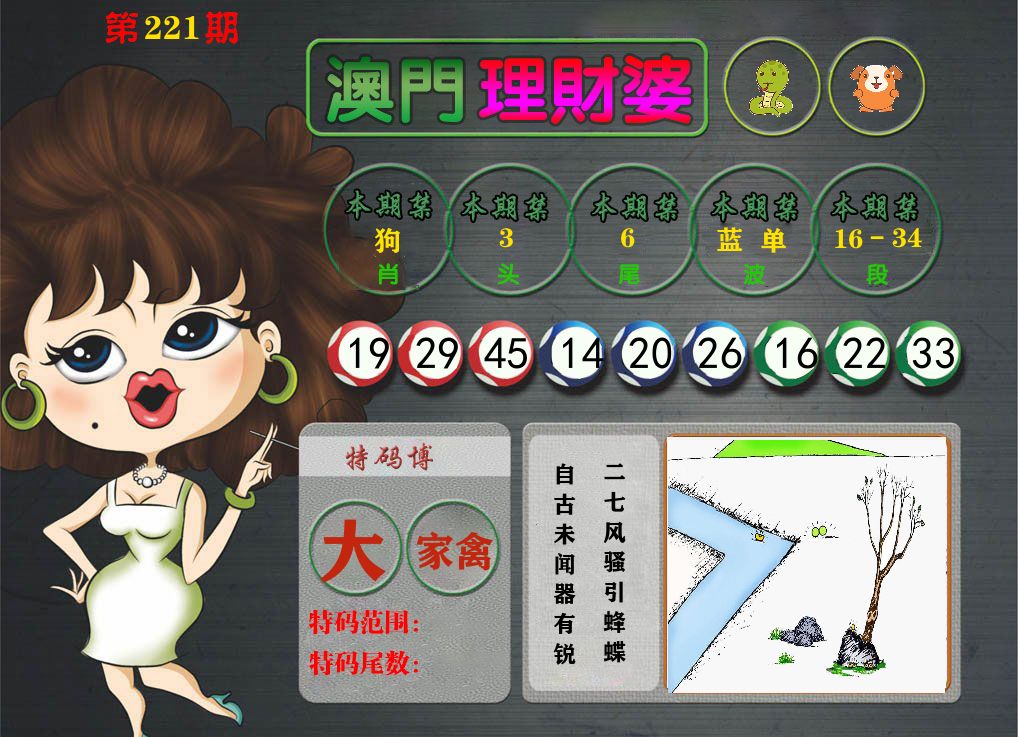 理财婆 第221期