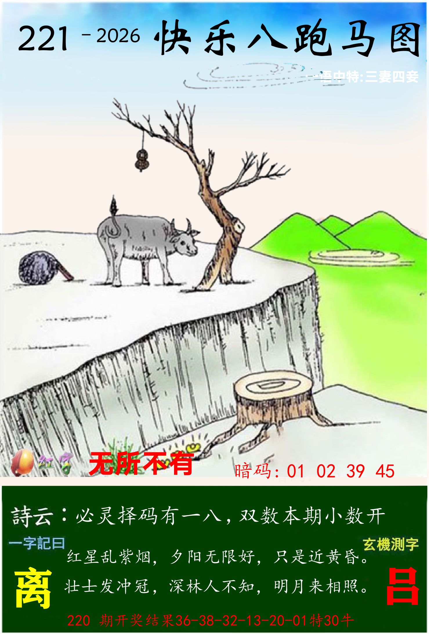 澳门跑马 第221期