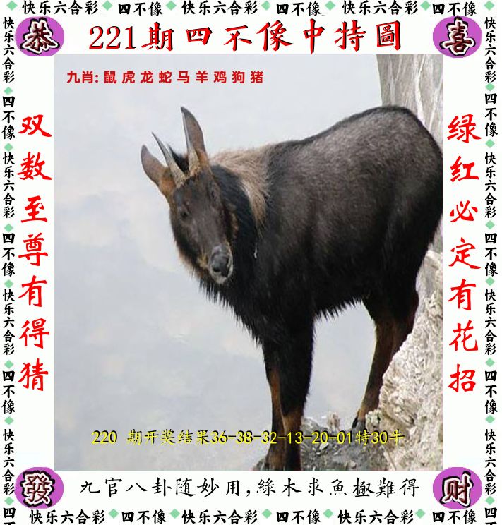 四不像 第221期