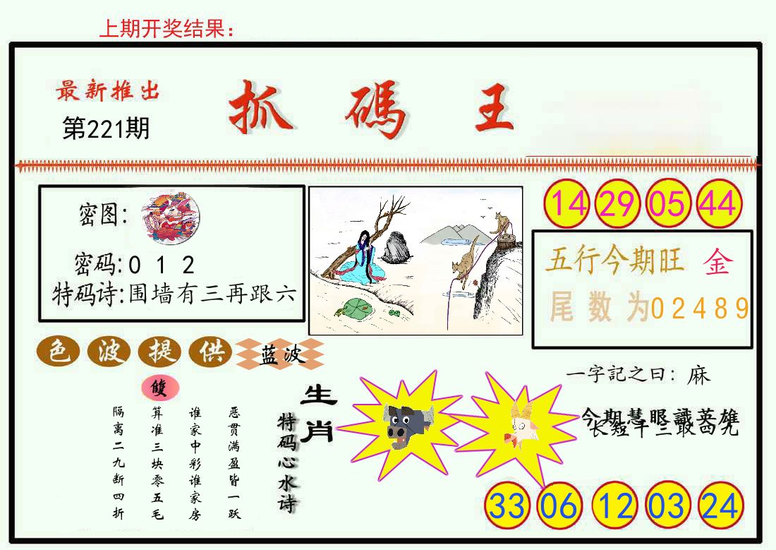 最新抓码王 第221期