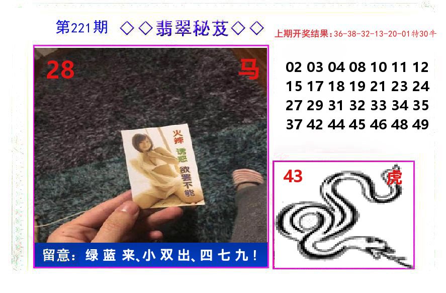 翡翠秘芨 第221期