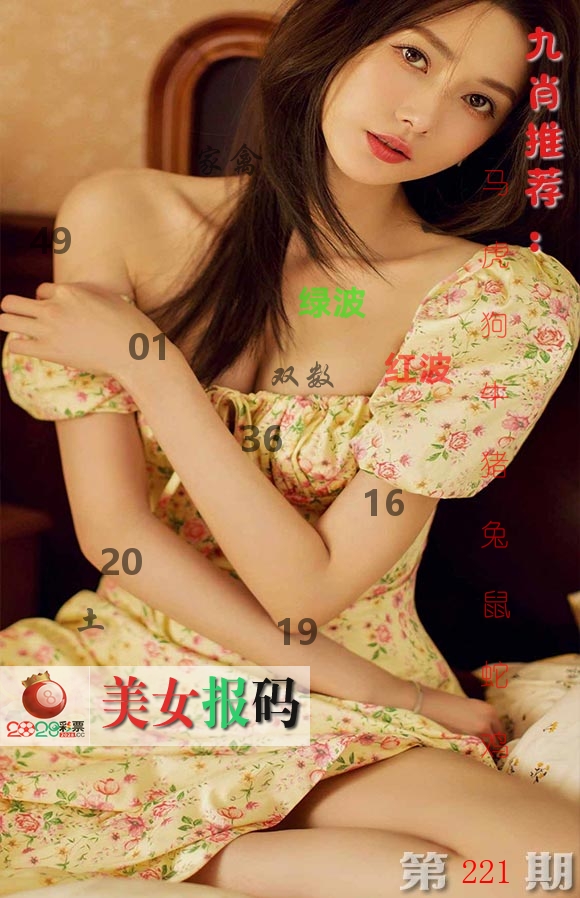 美女报码 第221期
