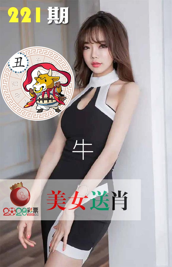 美女送肖 第221期