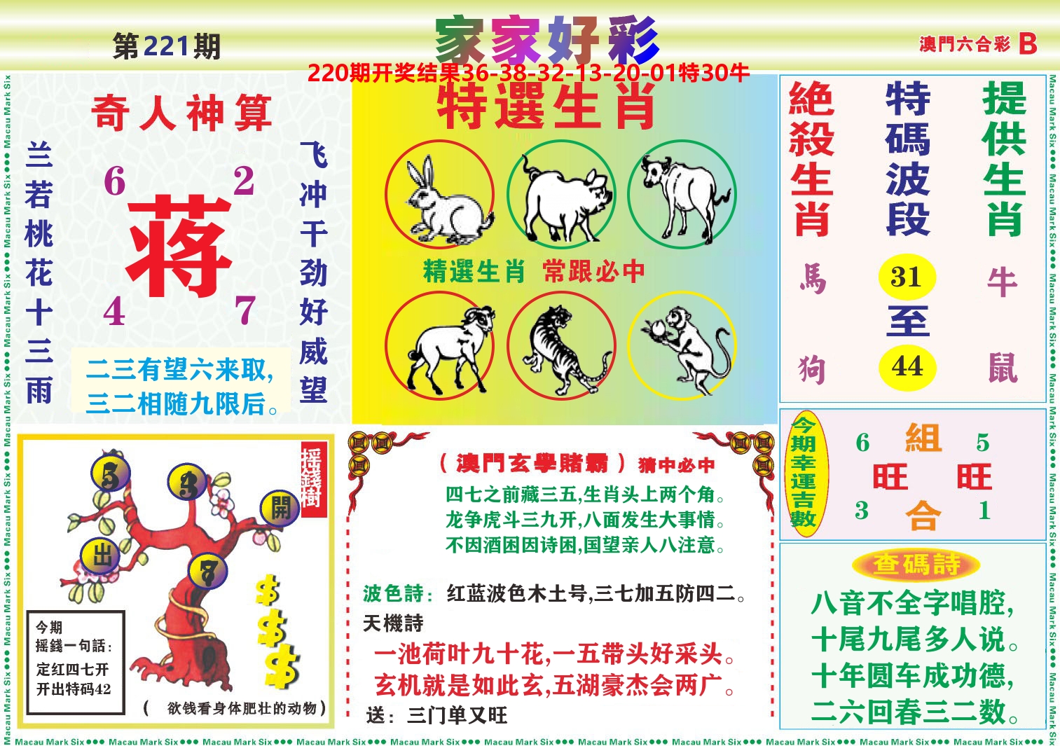 家家好彩B 第221期