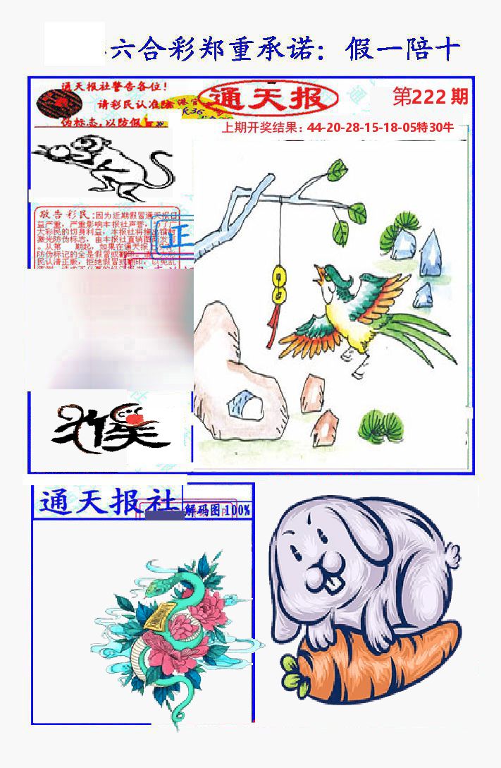 通天报 第222期