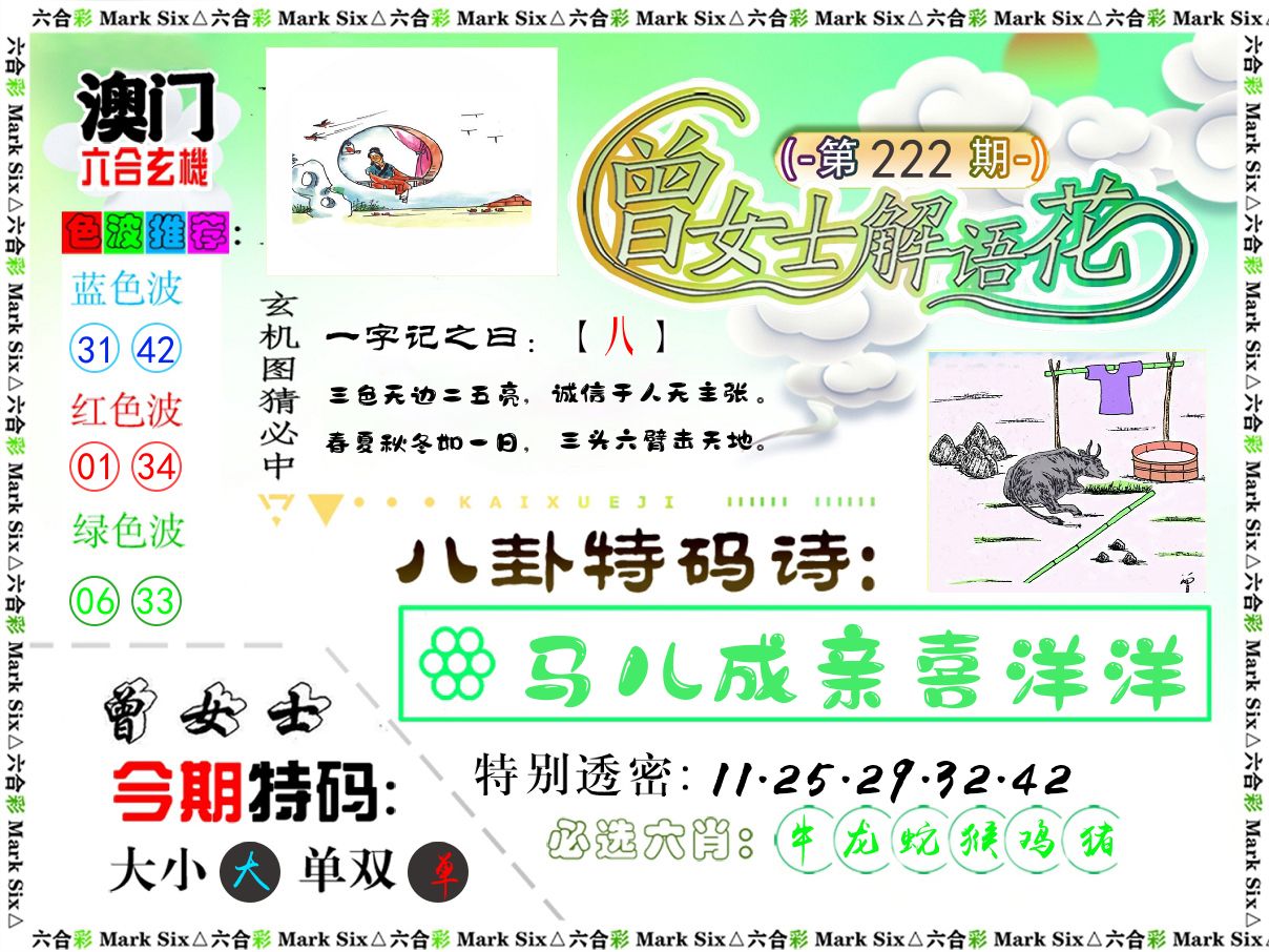 曾女士解语花 第222期