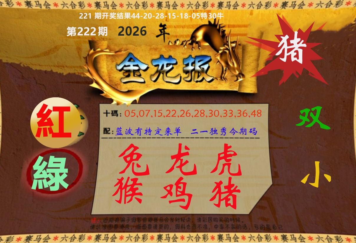 金龙报 第222期
