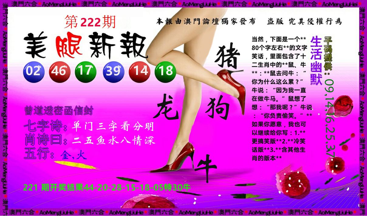 美腿新报 第222期