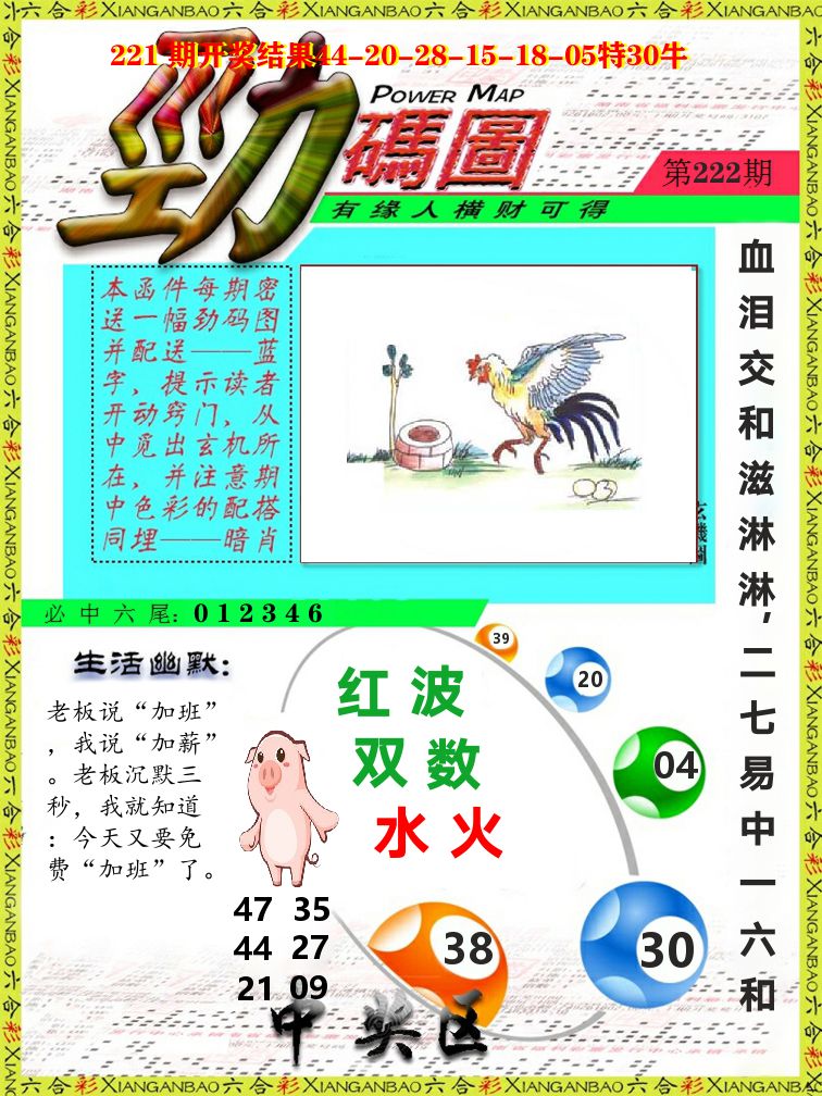 劲码图 第222期