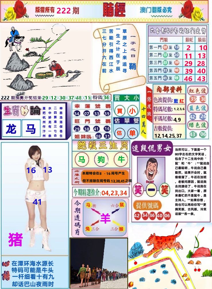 澳门赌经 第222期