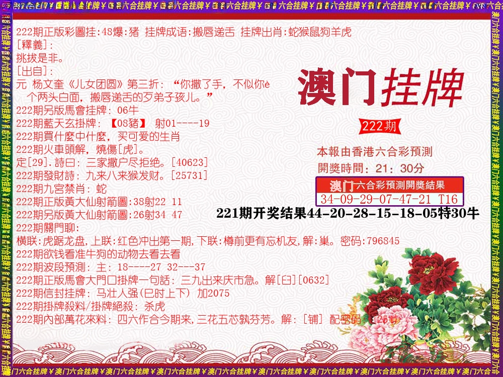 澳门挂牌 第222期