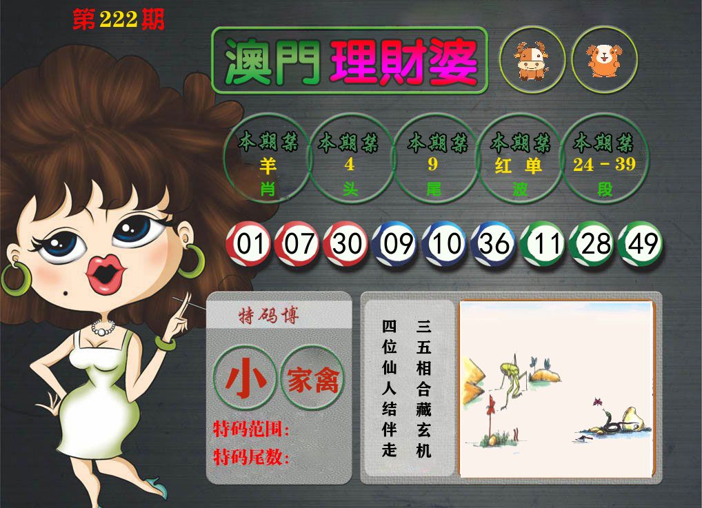理财婆 第222期