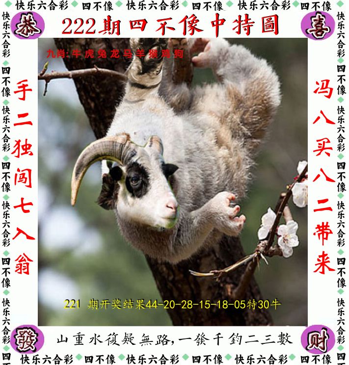 四不像 第222期