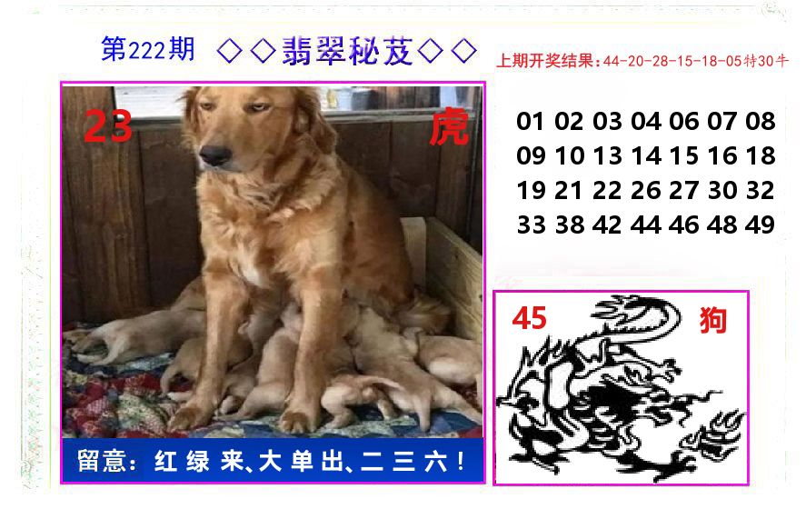 翡翠秘芨 第222期