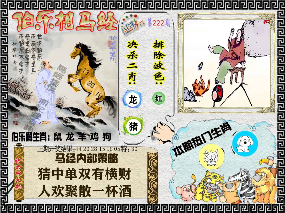 伯乐相马经 第222期