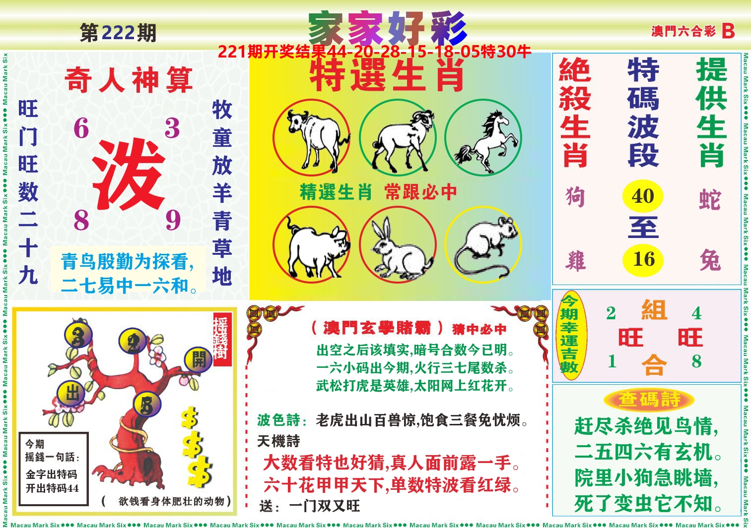 家家好彩B 第222期