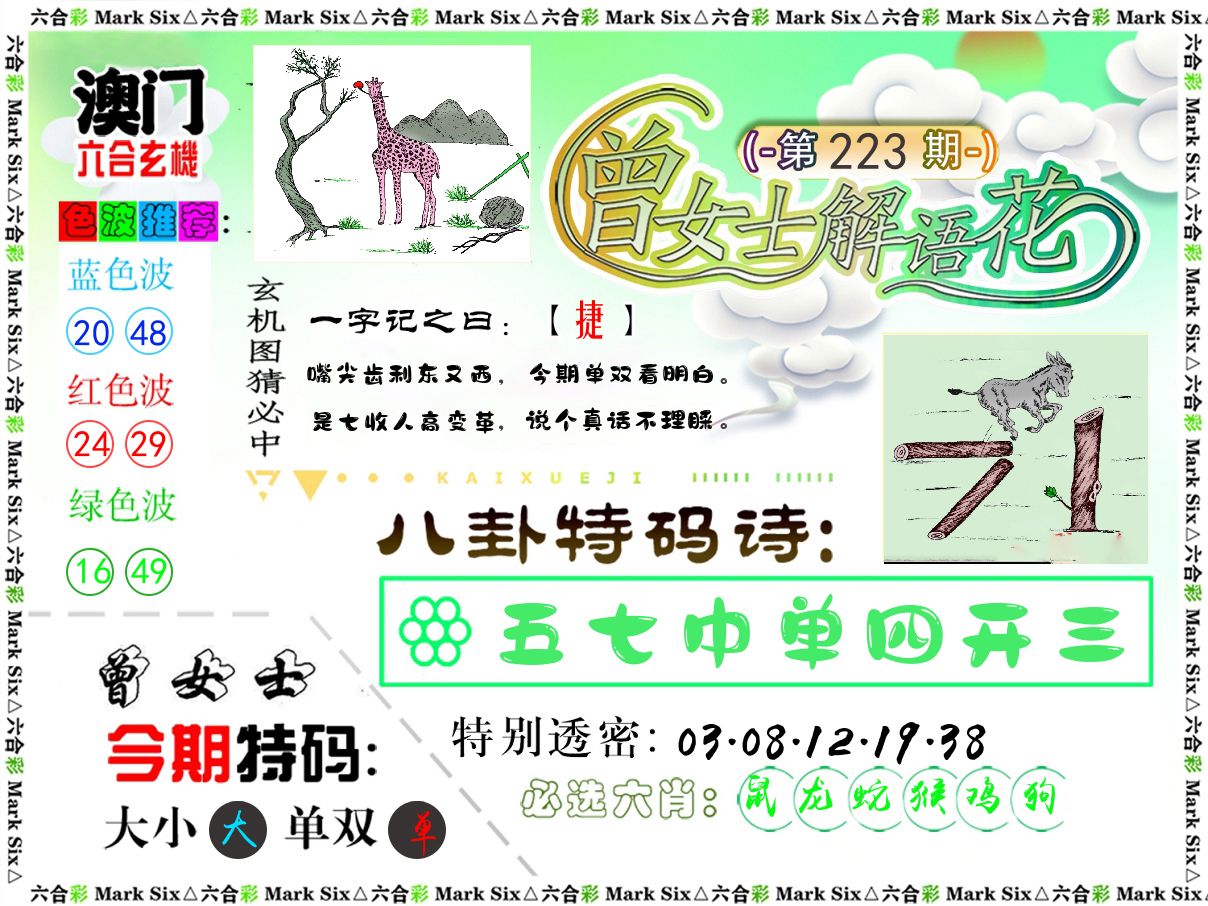 曾女士解语花 第223期