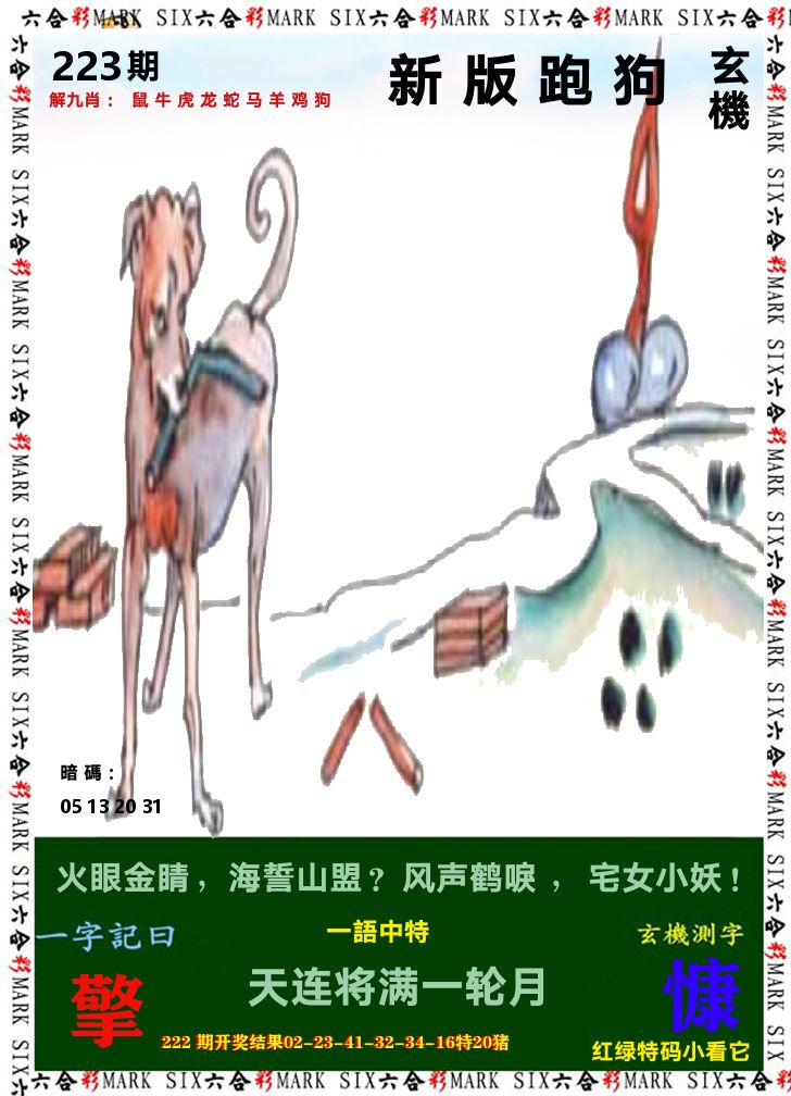 悟入其图 第223期