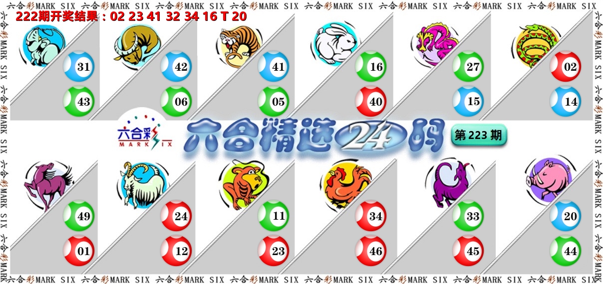 六合精选24码 第223期