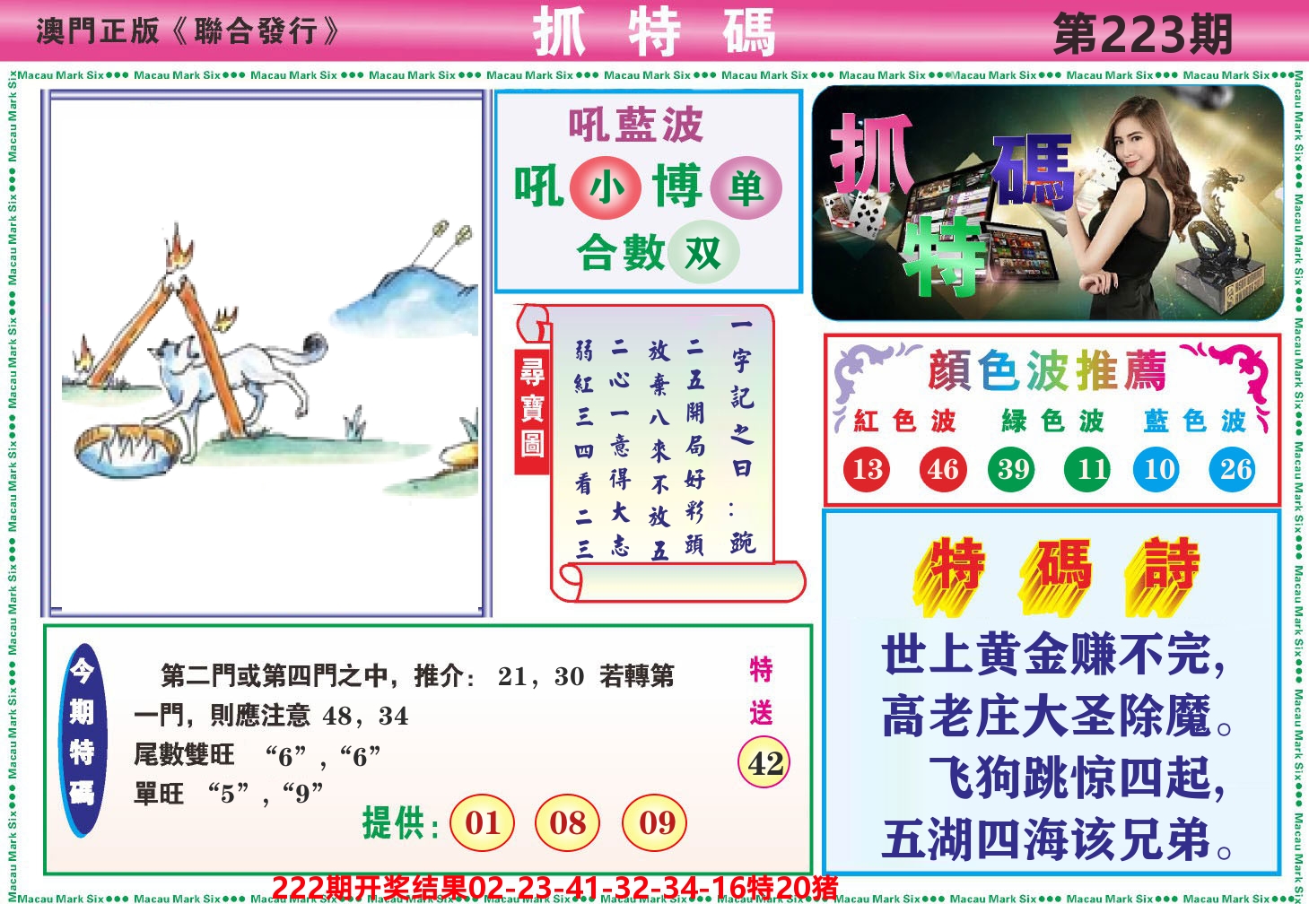 澳门抓特码A 第223期