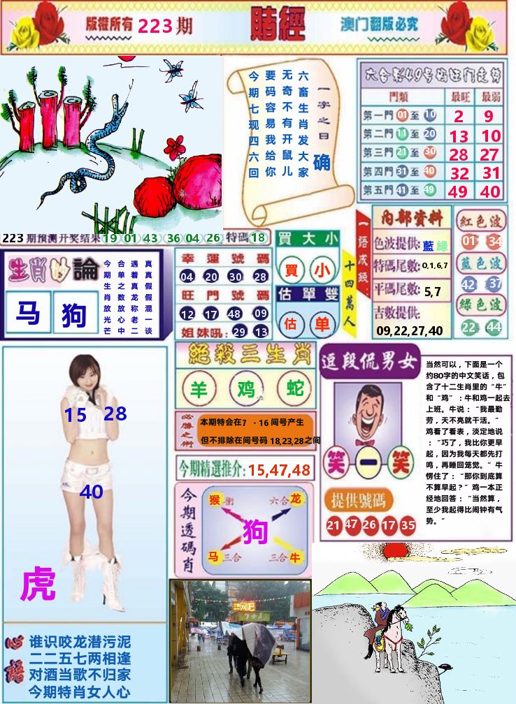 澳门赌经 第223期