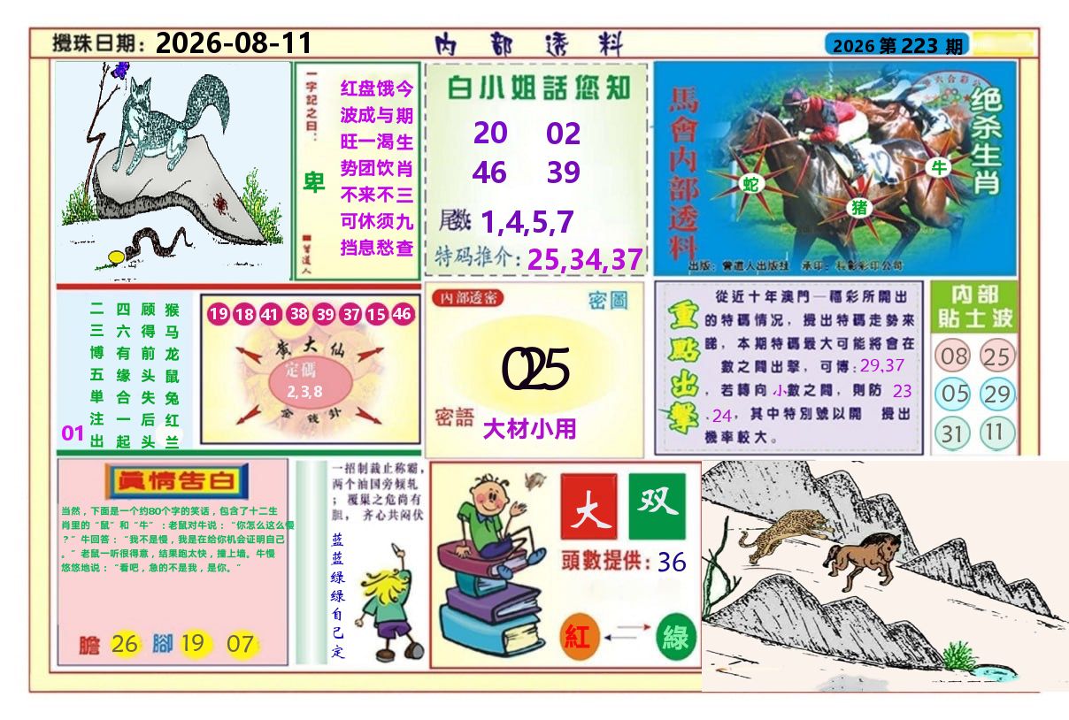 澳门内部透料A 第223期