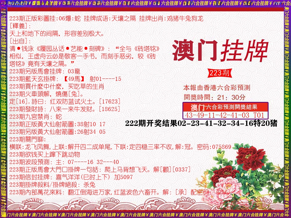 澳门挂牌 第223期