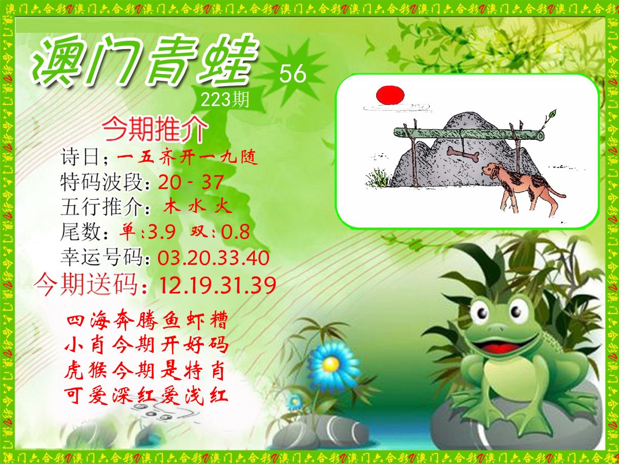 青蛙系列56 第223期