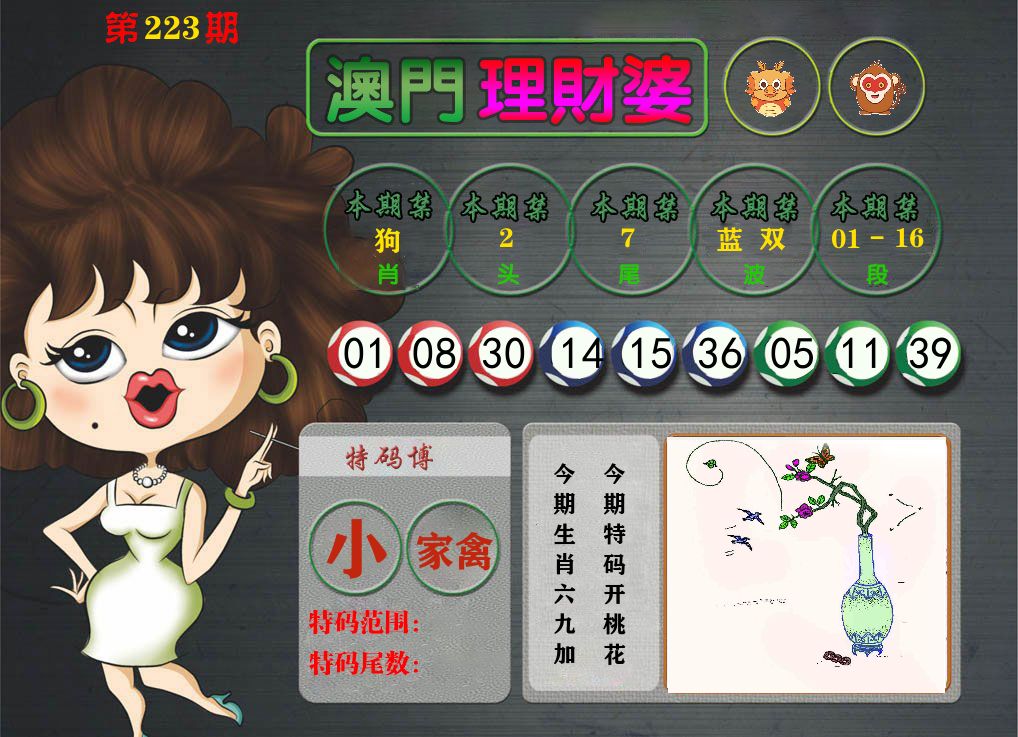理财婆 第223期