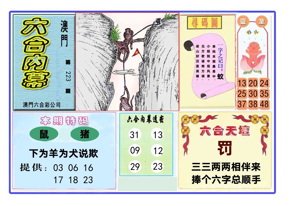 六合内幕 第223期