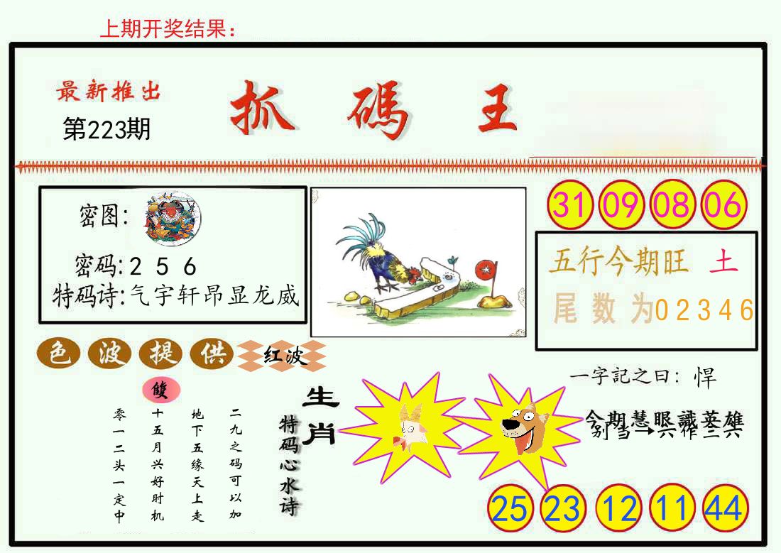 最新抓码王 第223期