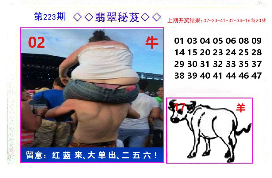 翡翠秘芨 第223期