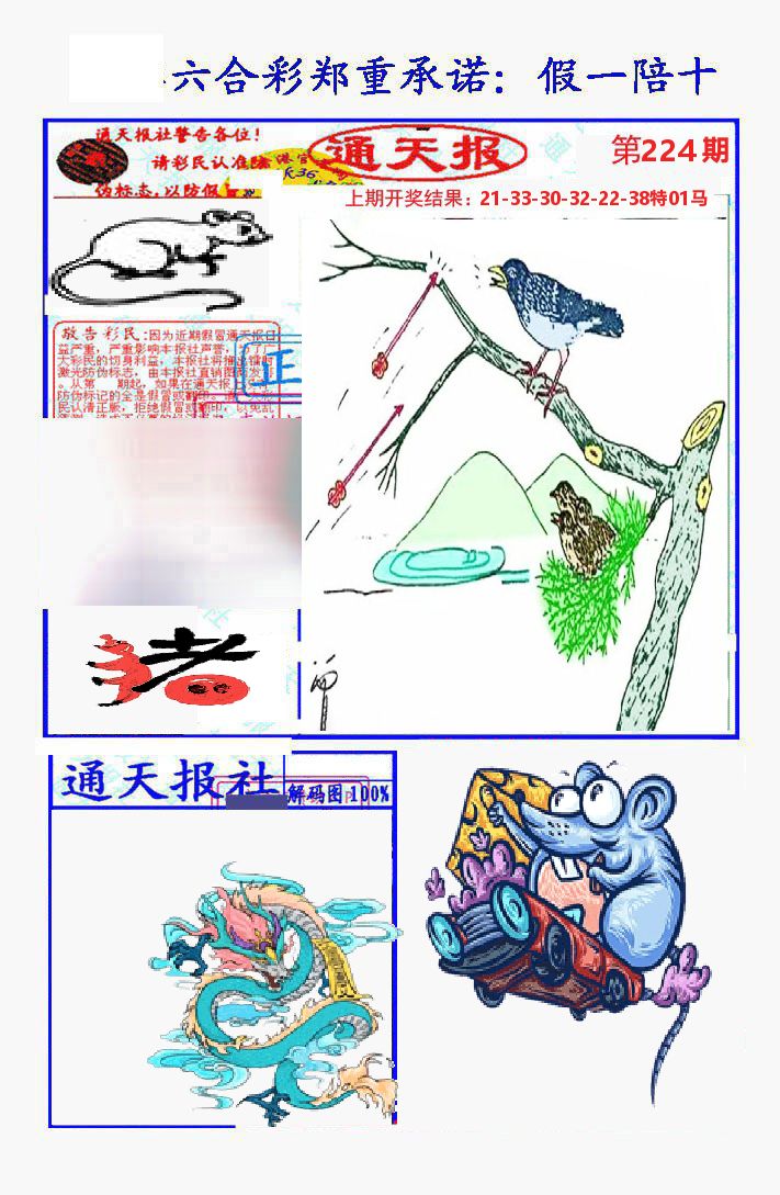 通天报 第224期